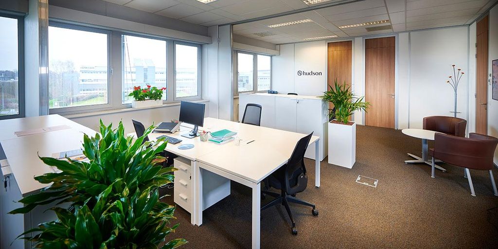 Modern office space with plants, desk, and natural light.