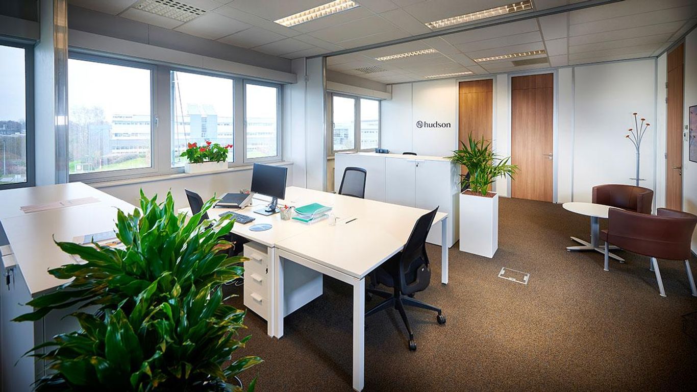 Modern office space with plants, desk, and natural light.